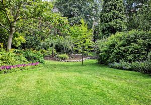 Optimiser l'expérience du jardin à Leuglay